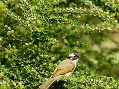 -国家植物园南园