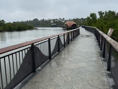 -东寨港红树林旅游区