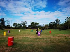 -上海崇明金茂凯悦酒店