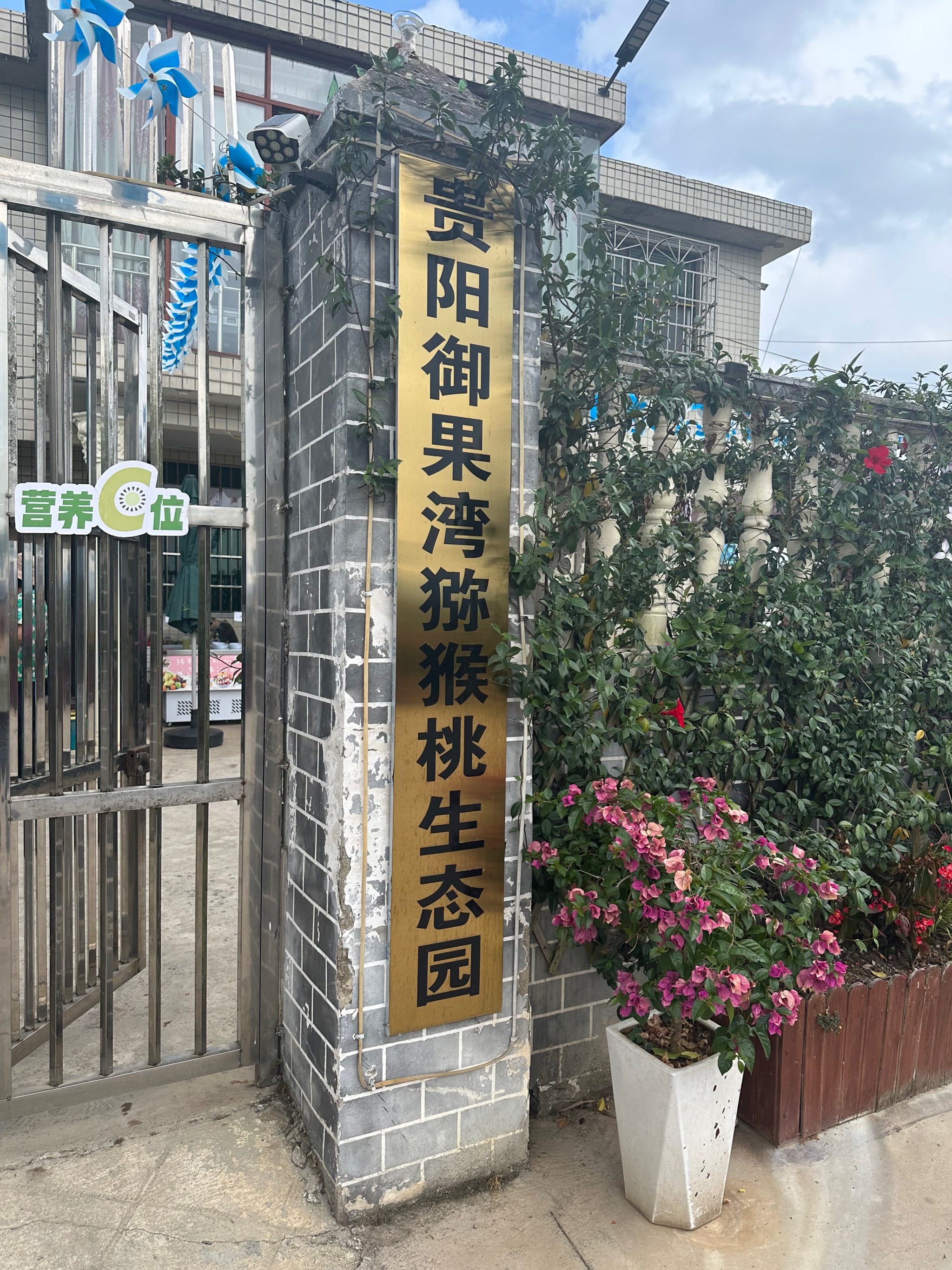 桐乡市石门湾四季果园图片