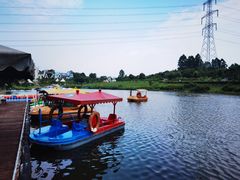 -紫颐香薰山谷景区