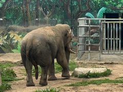 -西安秦岭野生动物园