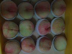 -老袁家蜜桃农场·阳山水蜜桃