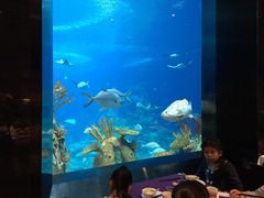 -雨林餐厅(长隆海洋王国店)