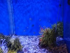 -海合安青岛极地海洋公园