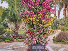 -中国科学院华南植物园