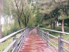 -大兴滨河森林公园