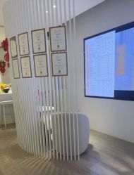 -BELLAREAL新美社