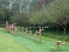 -昆山城市生态森林公园