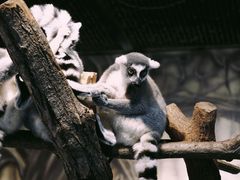 -海合安武汉极地海洋公园