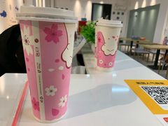 益力多绿茶-绒爪撸猫下午茶·猫咖