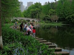 -重庆彩云湖湿地公园