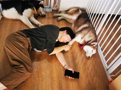 -Husky Go! 哈士奇体验馆·宠物咖啡厅狗咖