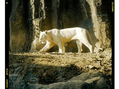 -杭州野生动物世界