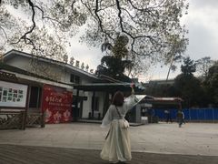 -南山植物园