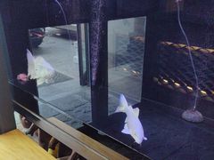 -常赢三兄弟·清真涮肉·清真炒菜(朝阳新城店)