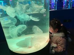 -苏州海洋馆