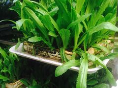 -阳光山水江湖菜馆(西山龙门店)