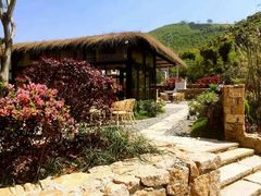 书吧-看见远方·莫干遥远的山民宿