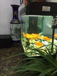 -尚玲纹绣纹眉特价店