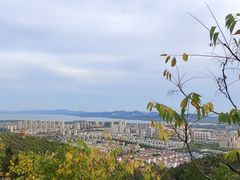 -府君山公园