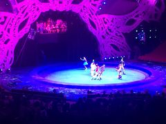 iphone_upload_pic-珠海横琴长隆《卡卡虎奇遇记》