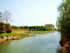 -南湖湿地公园