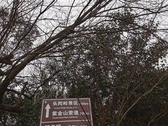 -紫金山山顶公园