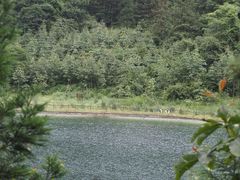 -武陵山森林公园