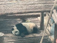 -大连森林动物园