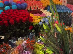 -越秀西湖花市(广州城市广场花卉店)