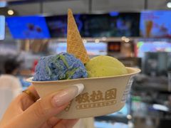 -极拉图·现制冰淇淋(大卫城店)