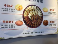-珍妮曲奇聪明小熊(尖沙咀店)