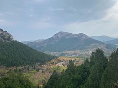 -佛慧山