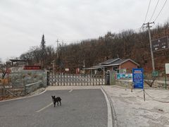 -定都峰