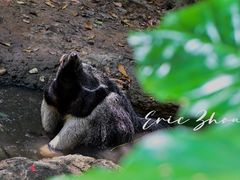 -广州长隆野生动物世界