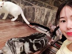 -猫色咖啡·猫咖