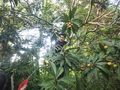 -烟水渔庄餐厅(西溪湿地店)