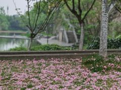 -幕燕滨江·长江观音景区