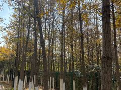 -艾溪湖湿地公园