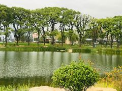 -上海植物园-4号门售票处