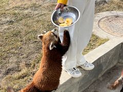 -水上乐园·欢乐世界