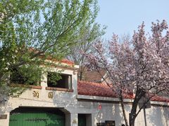 -天津五大道文化旅游区