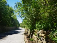 -白草畔自然风景区