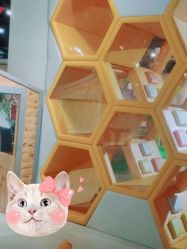 -塔塔王国·主题儿童游乐园(奥城商业广场店)