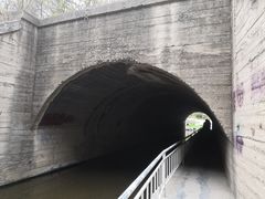 -白水寺森林公园