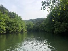 -青龙山国家森林公园