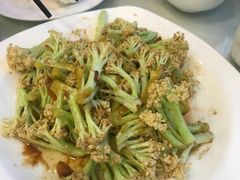 -陶然饺子城(奥体中路店)