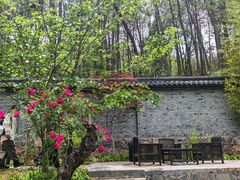 -松赞丽江山居餐厅