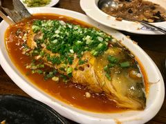 煎烧黄河大鲤鱼-老雒阳面馆·水席(定鼎门店)